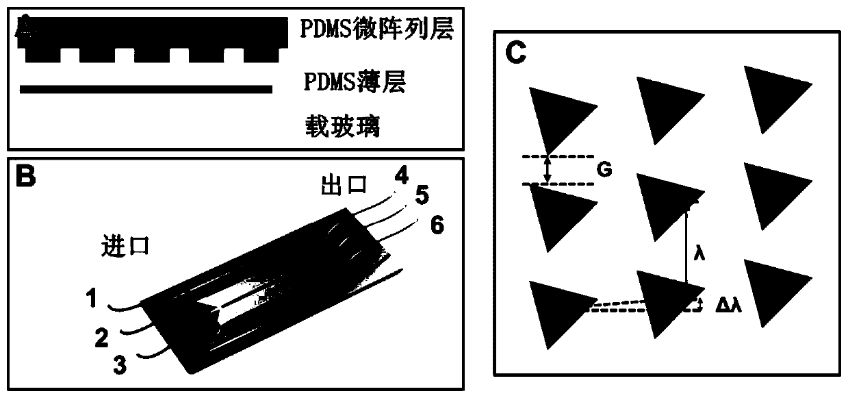 Flow identification nano vesicle used for cell capture, and preparation method and applications thereof