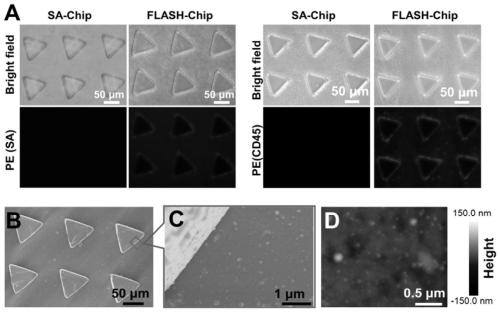 Flow identification nano vesicle used for cell capture, and preparation method and applications thereof