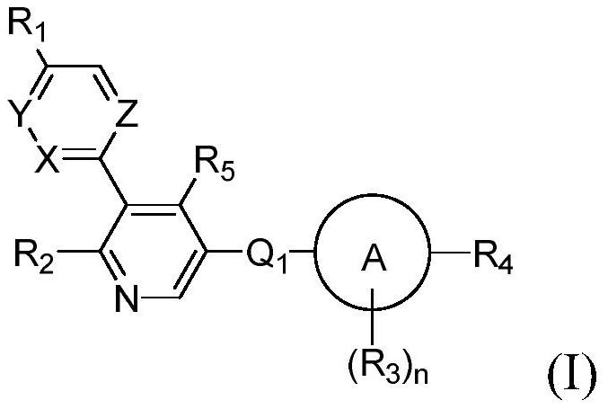 Aryl-bipyridine amine derivatives as phosphatidylinositol phosphate kinase inhibitors