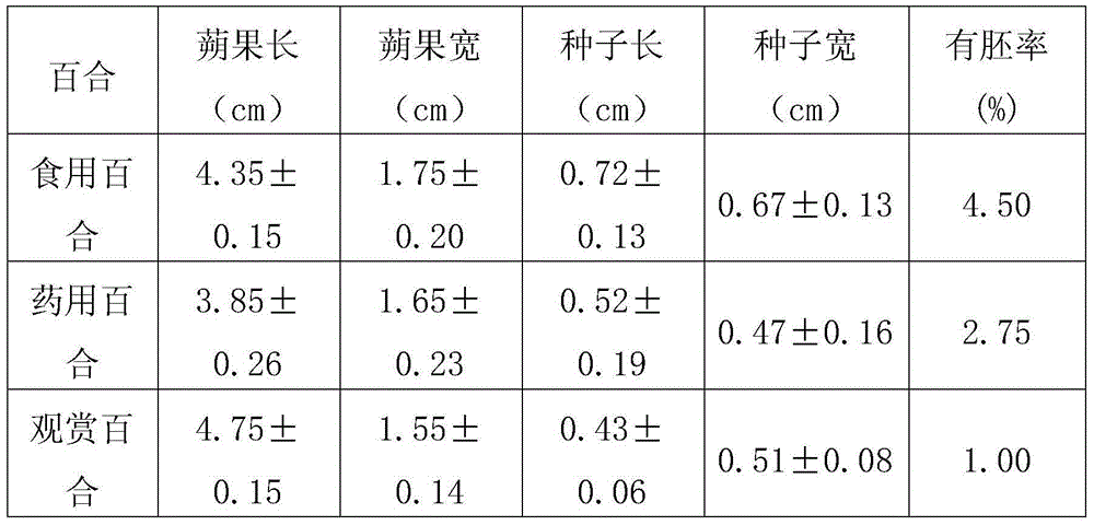 Lily culture method