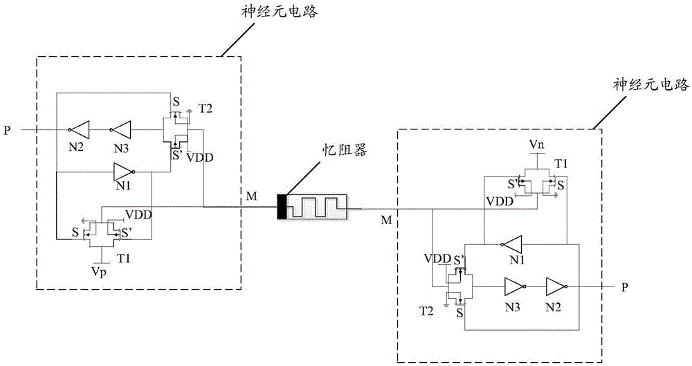 Neural simulation circuit