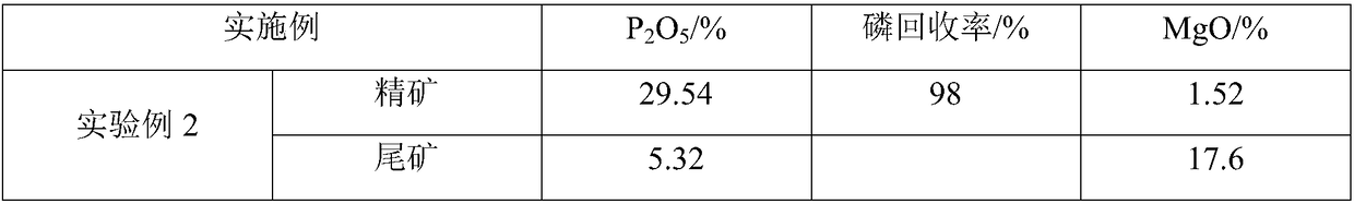 Reprocessing method of phosphate ore flotation tailings and phosphate ore flotation method