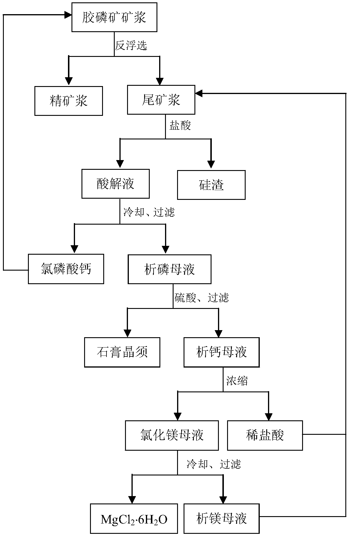 Reprocessing method of phosphate ore flotation tailings and phosphate ore flotation method