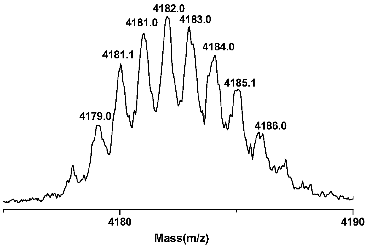 Substance p polypeptide probe specifically recognizing neurokinin-1 receptor protein and its preparation and application