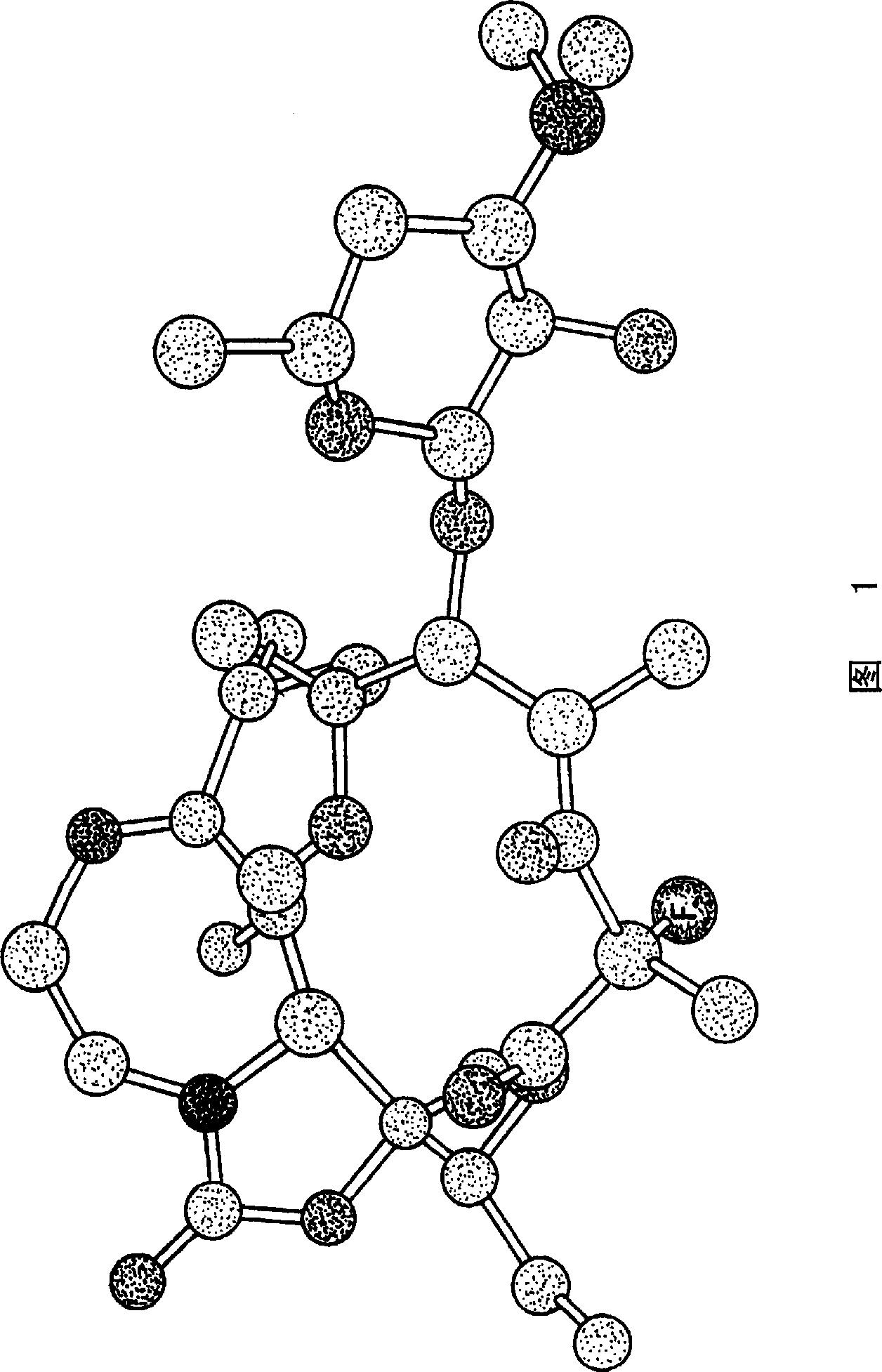 Z-halo-6-o-substituted ketolide derivatives