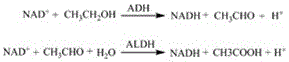 Preparation method of antialcoholism product