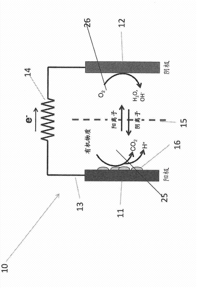 Electrolyte enhanced microbial fuel cell