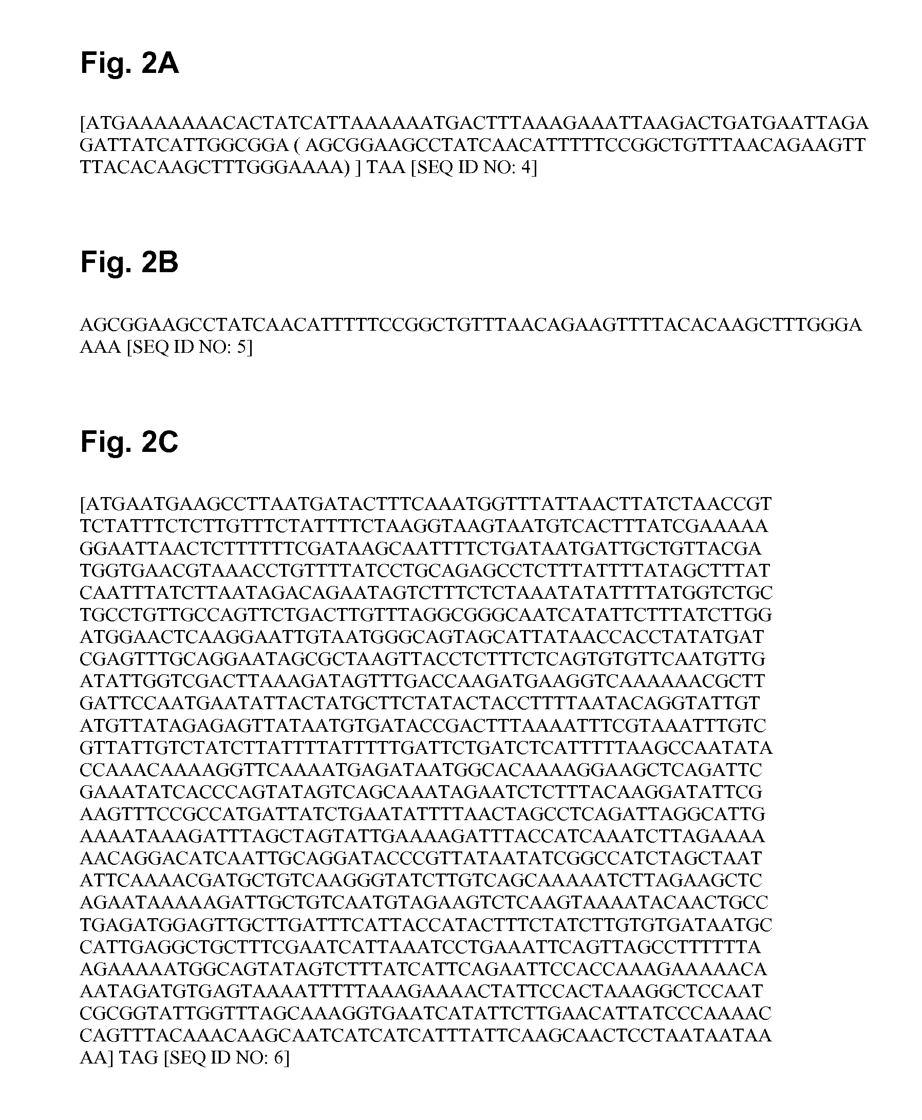 Signal peptides, nucleic acid molecules and methods for treatment of caries