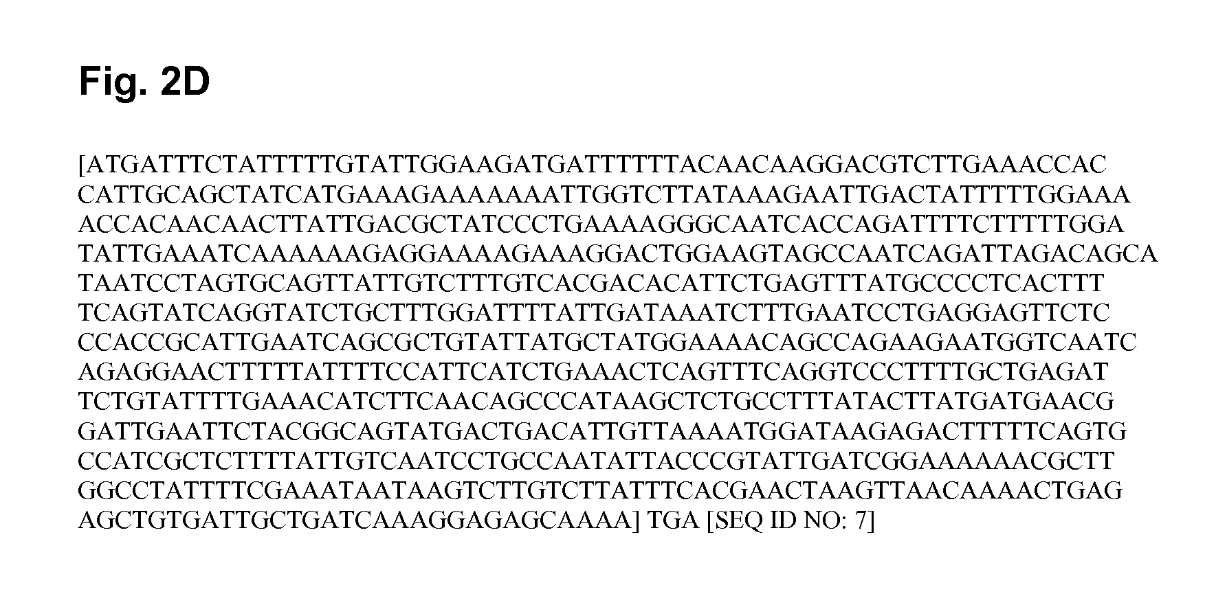 Signal peptides, nucleic acid molecules and methods for treatment of caries