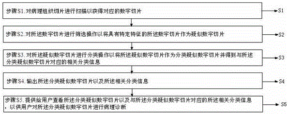 Cycle tumor cell slice-based diagnosis system and method