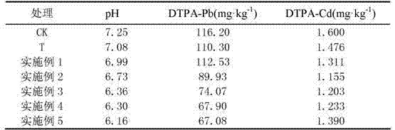 Modified biomass charcoal and remediation method of heavy metal contaminated soil