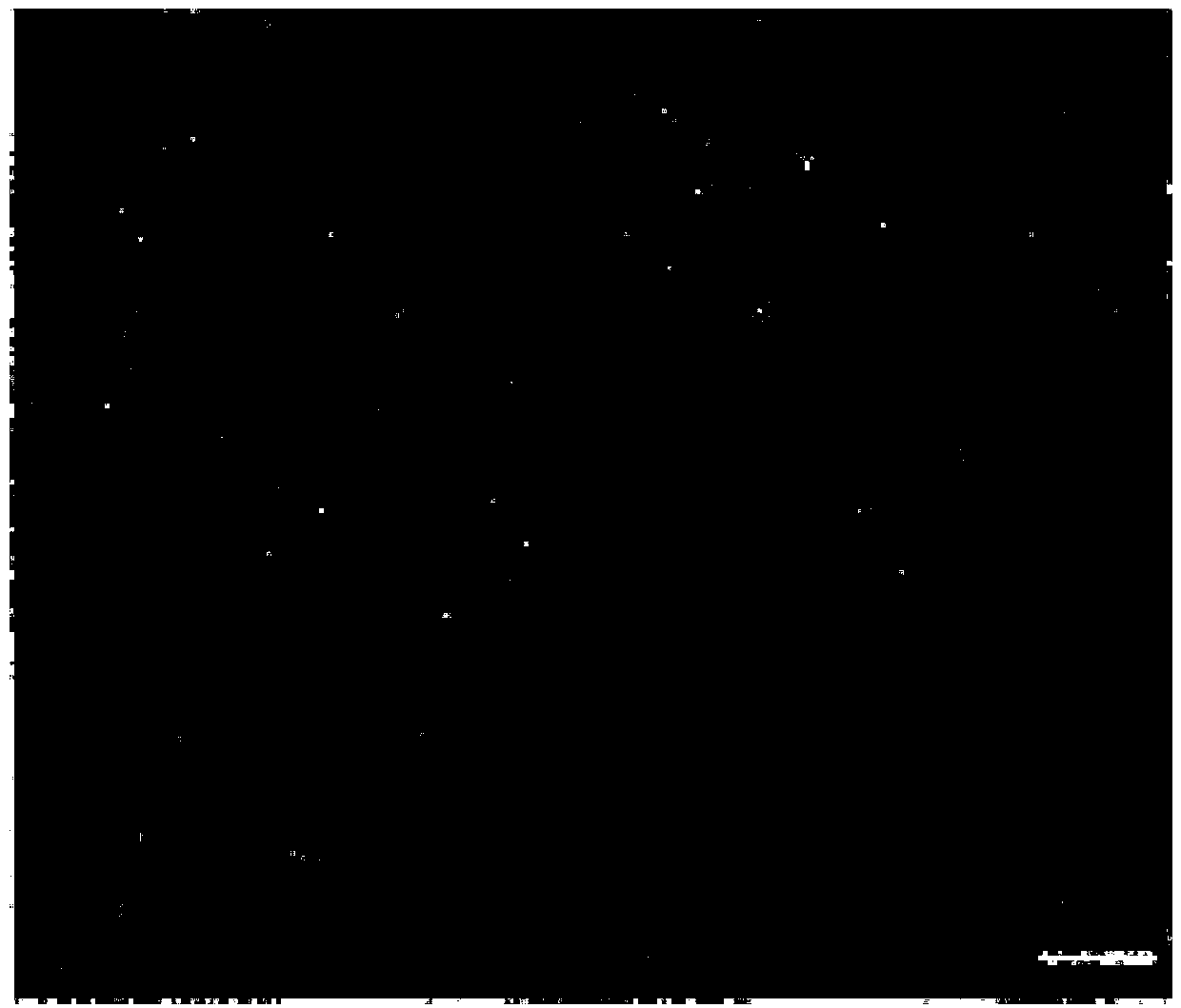 siRNA-loading nanoparticle and application thereof