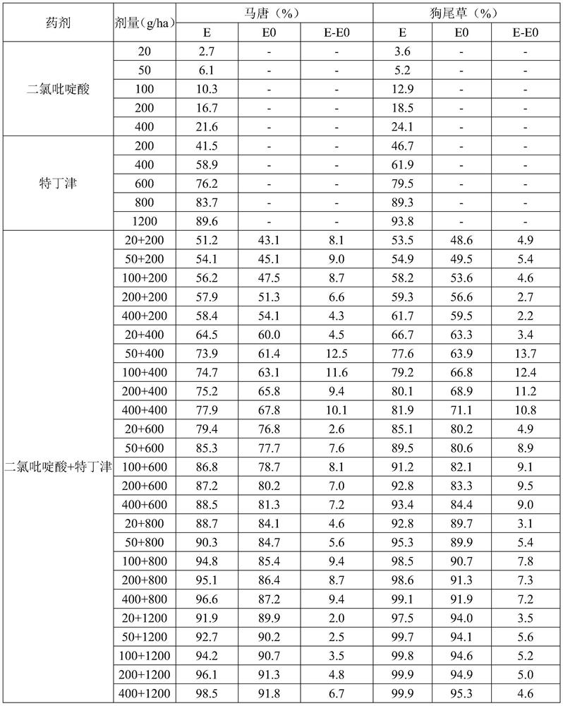 A kind of herbicidal composition containing clopyralid and terbuthyzine and its application