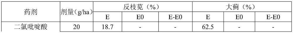 A kind of herbicidal composition containing clopyralid and terbuthyzine and its application