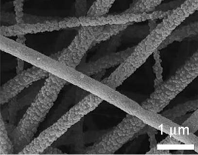 Method for in-situ polymerizing and preparing polypyrrole-coated polylactic acid electrospun composite membrane