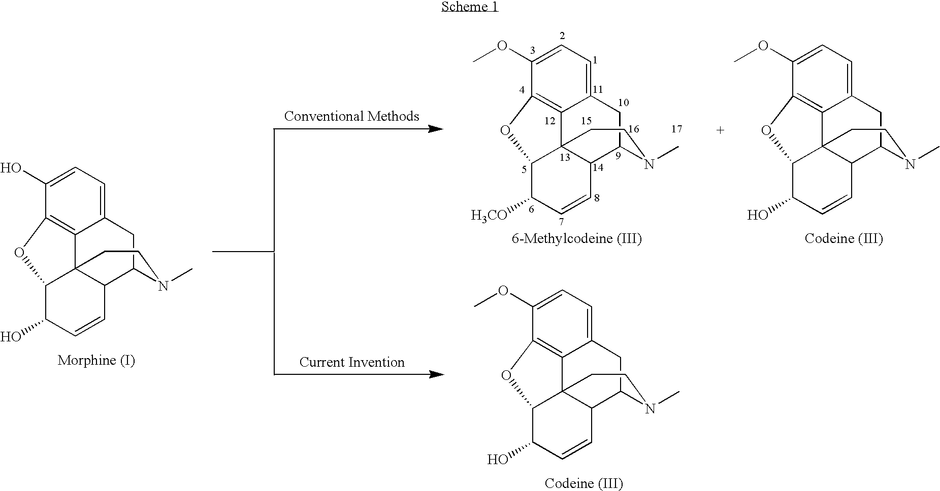 Process for the production of opiates