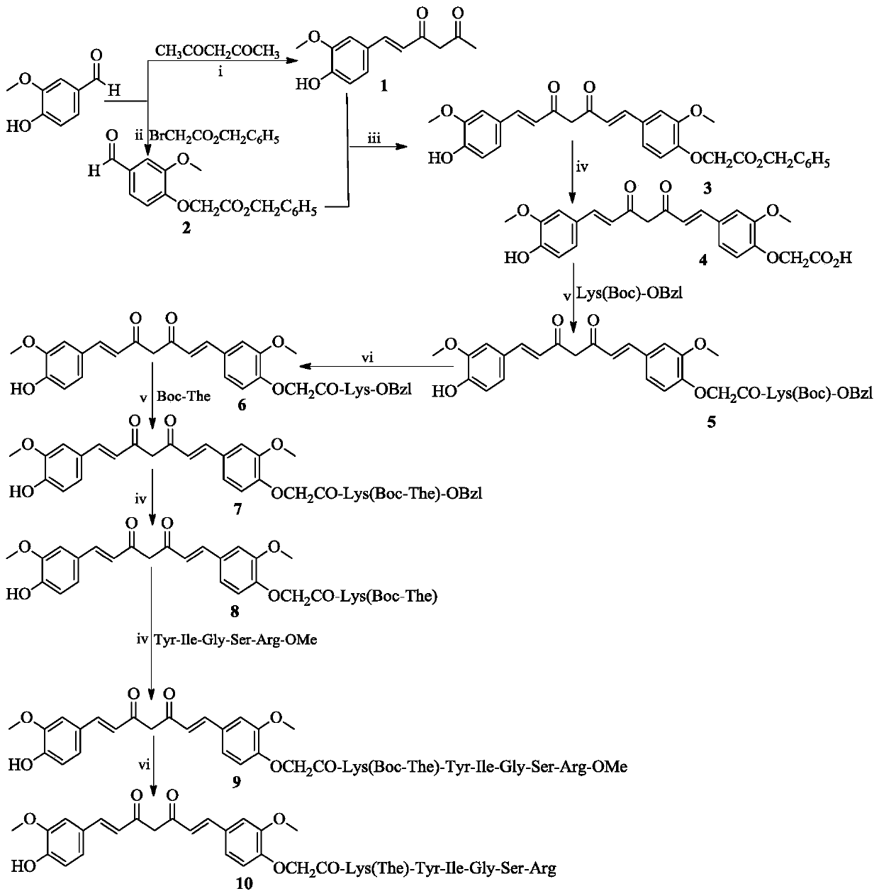 Curcumin modified by yigsr, its preparation, biological activity and application