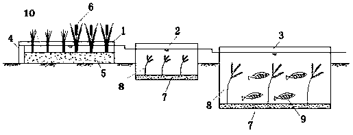 Ecological engineering purification system suitable for micro-polluted source water