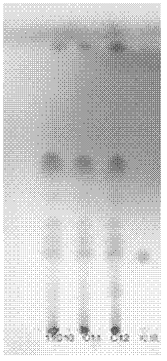 Blood nourishing and brain arousing particle quality detection method