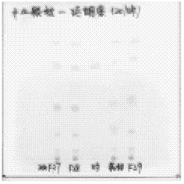 Blood nourishing and brain arousing particle quality detection method