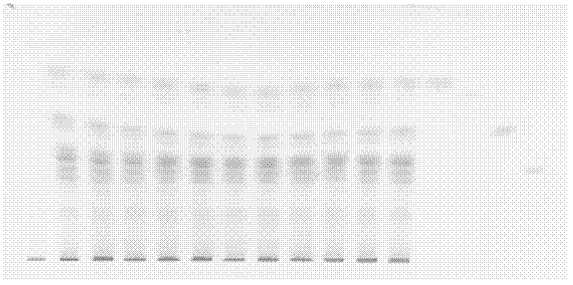 Blood nourishing and brain arousing particle quality detection method