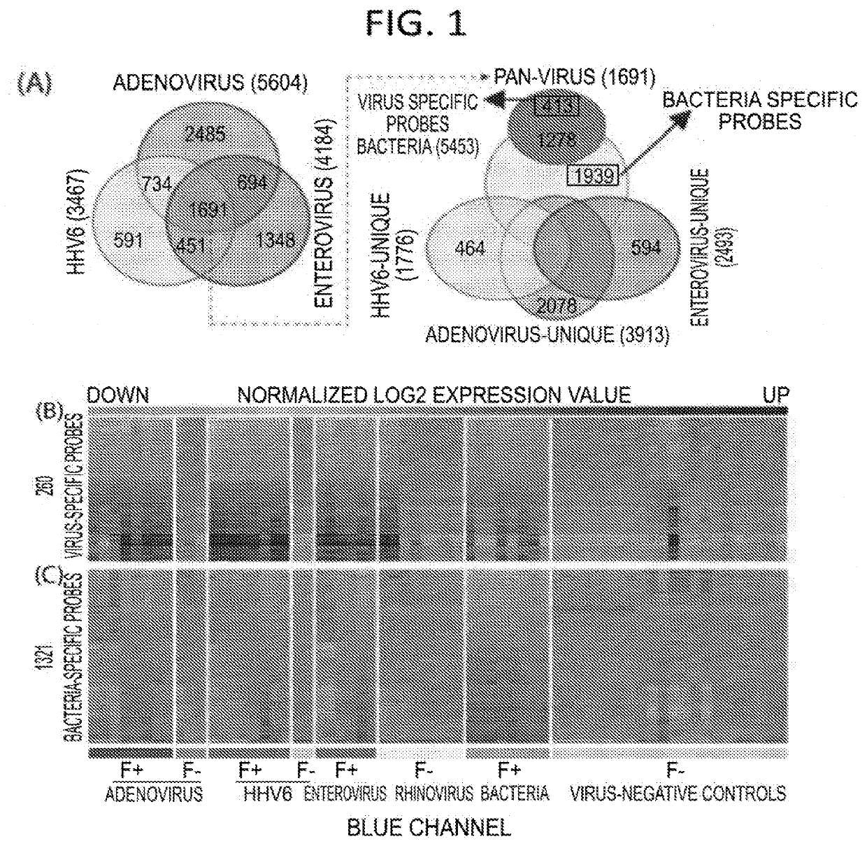 Diagnostic methods for infectious disease using endogenous gene expression