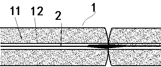 Ferrule member