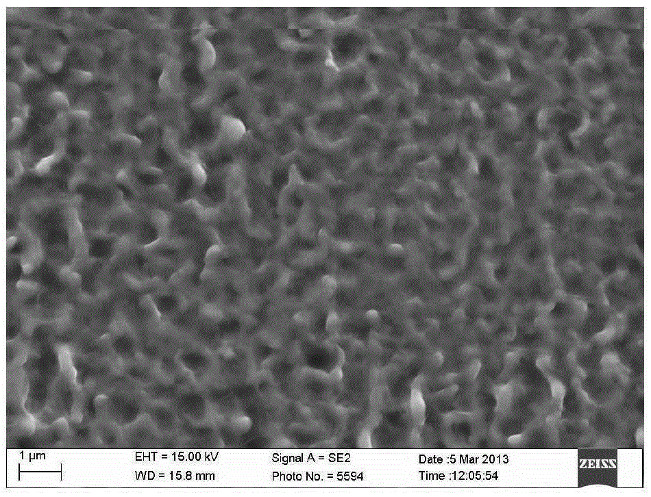 Method for continuously treating surface of large-area metal material through liquid plasma