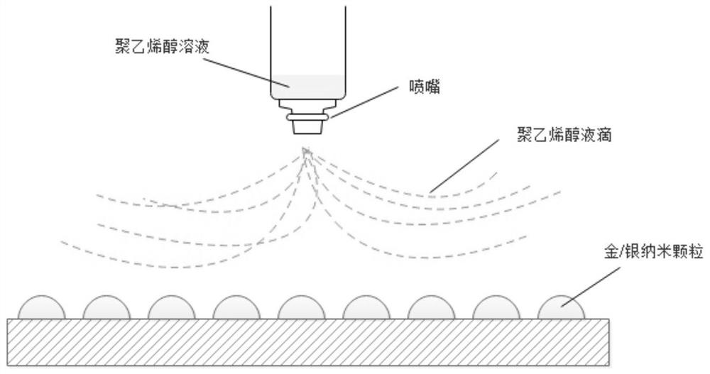 Polyvinyl alcohol-coated surface-enhanced Raman scattering substrate and preparation method thereof