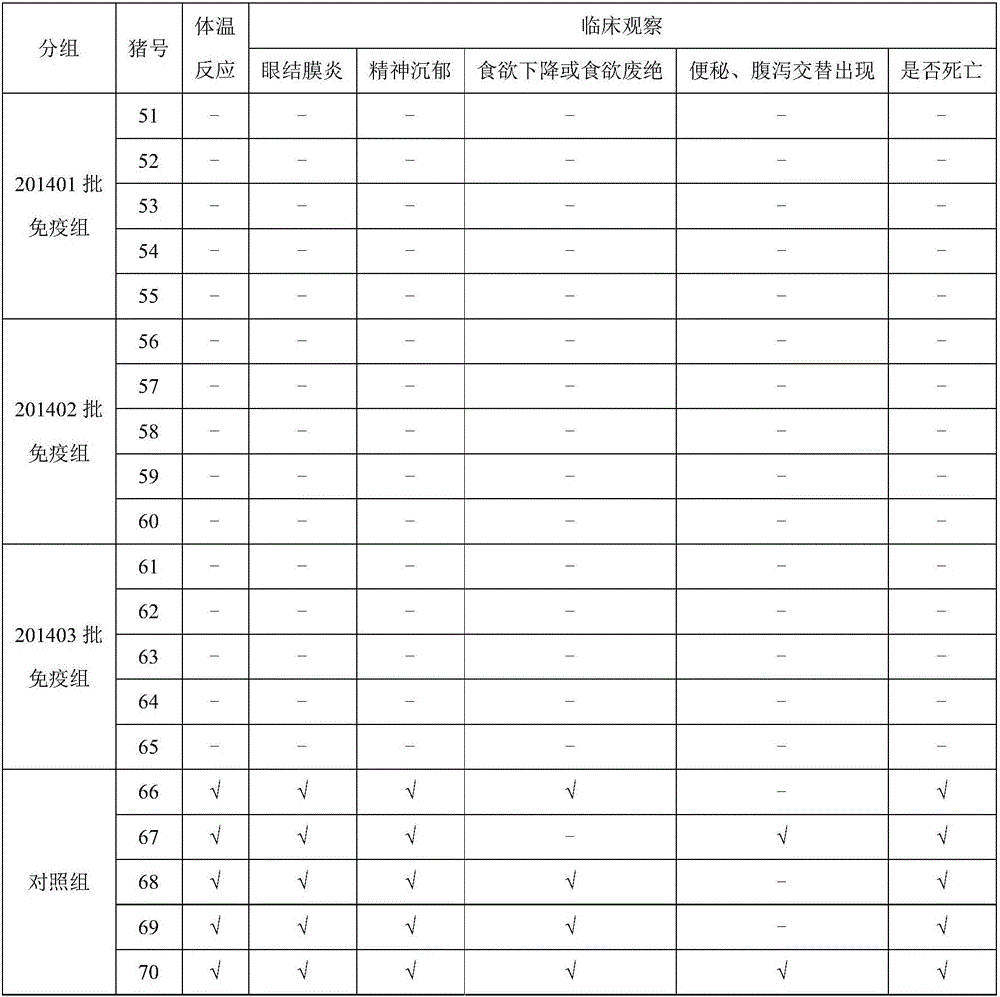 Antibody testing method for potency of CFS (classical swine fever) genetic engineering subunit vaccine