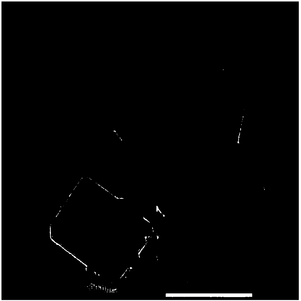 Hydroxy copper fluoride nanosheet and synthetic method thereof