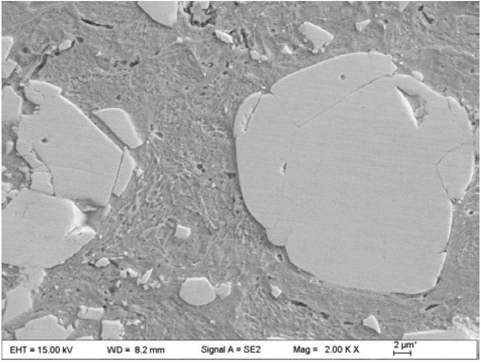 Special material for stainless steel substrate composite coating for thin valve plate and preparation method of special material