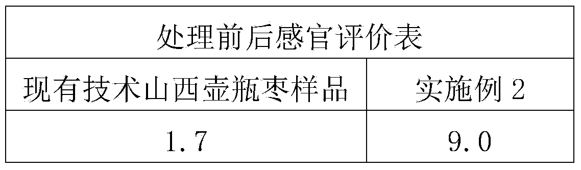 Partially-freezing fresh-keeping method for fresh jujubes