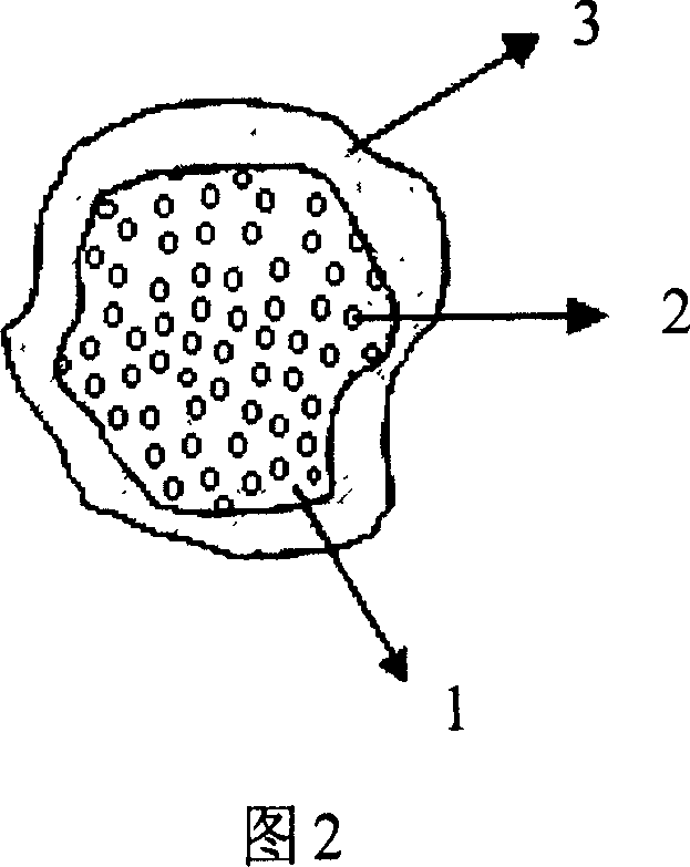 Bone tissue rack of TiO2 reinforced polyhydroxyethyl methacrylate and its prepn process