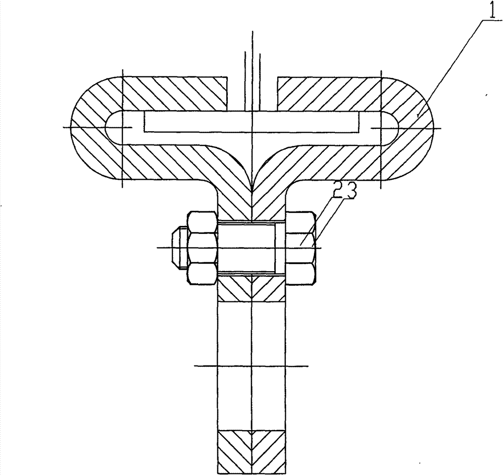 Lifting lug fixing device for crane