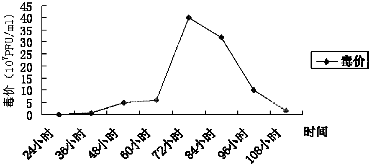 Chicken infectious bursal disease very virulent cell adapted strain and application thereof