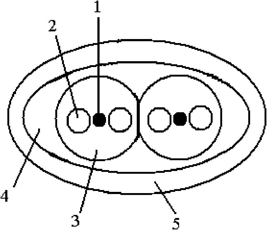 Double waveguide parallel polarization maintaining fiber and manufacturing method thereof