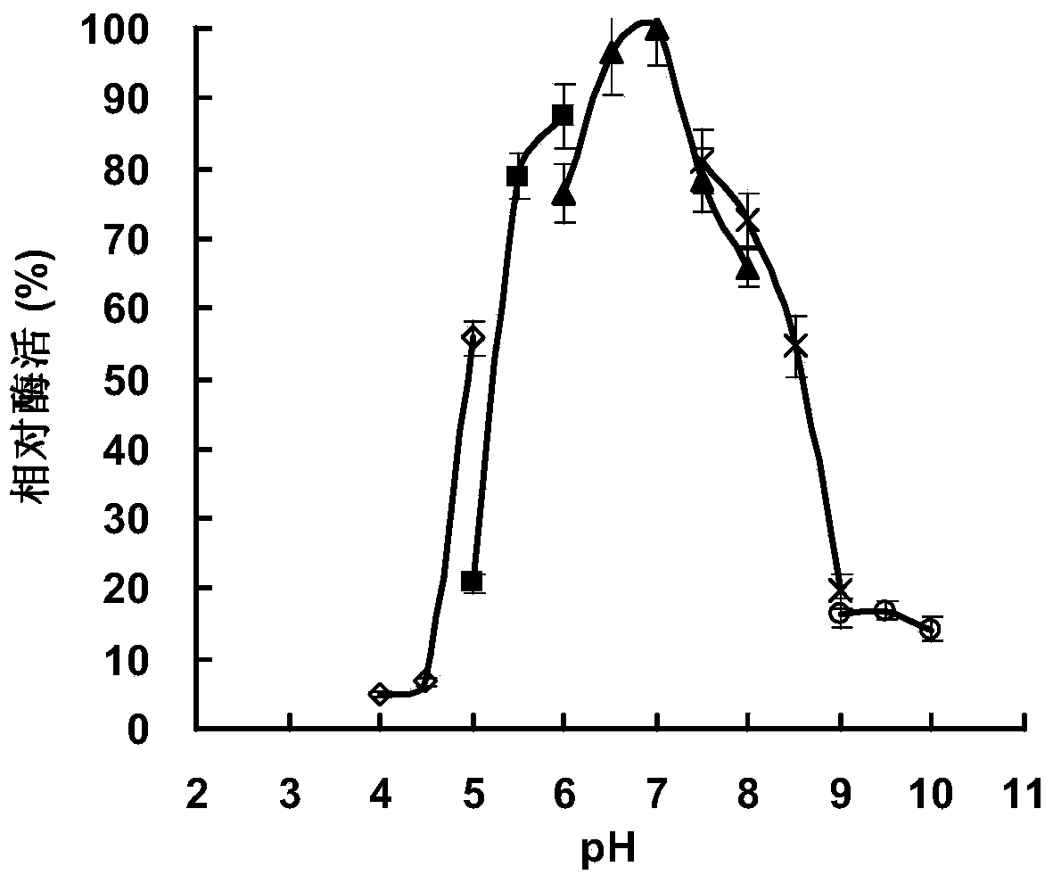 L-asparaginase as well as encoding gene and application thereof