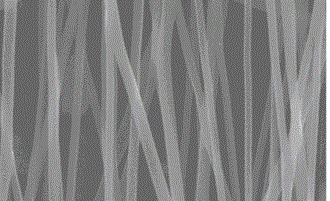 Orientated nano fiber bionic nerve conduit and manufacturing method thereof