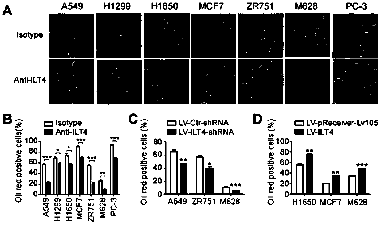 Application of blocking tumor-derived ILT4 in adoptive T cell therapy