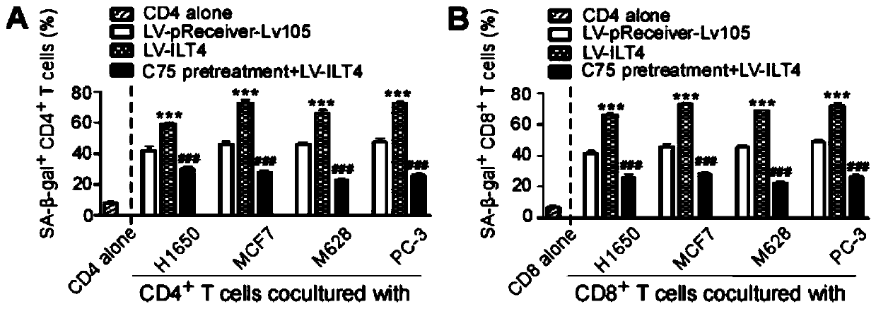 Application of blocking tumor-derived ILT4 in adoptive T cell therapy