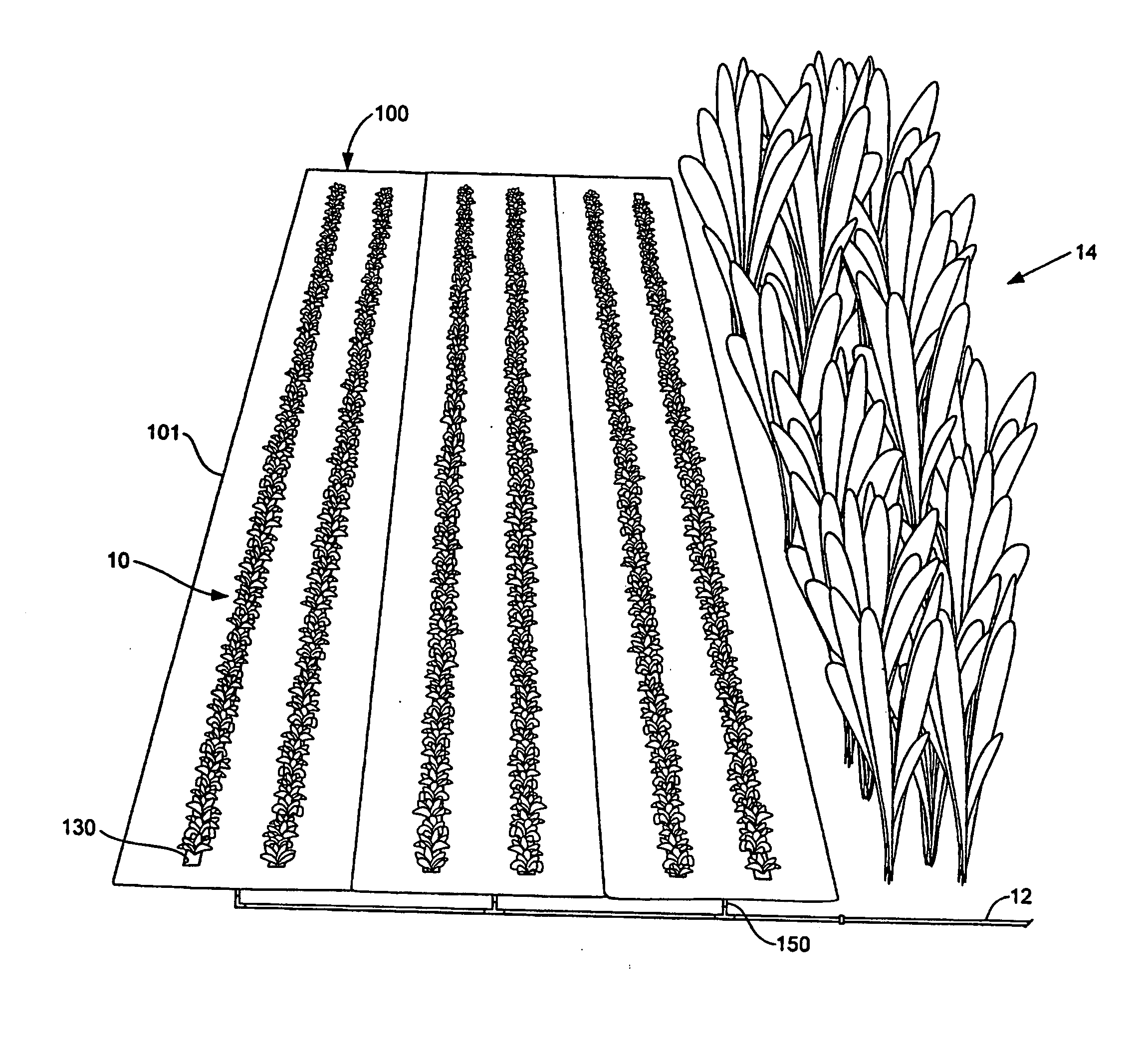 Garden weed barrier and watering system