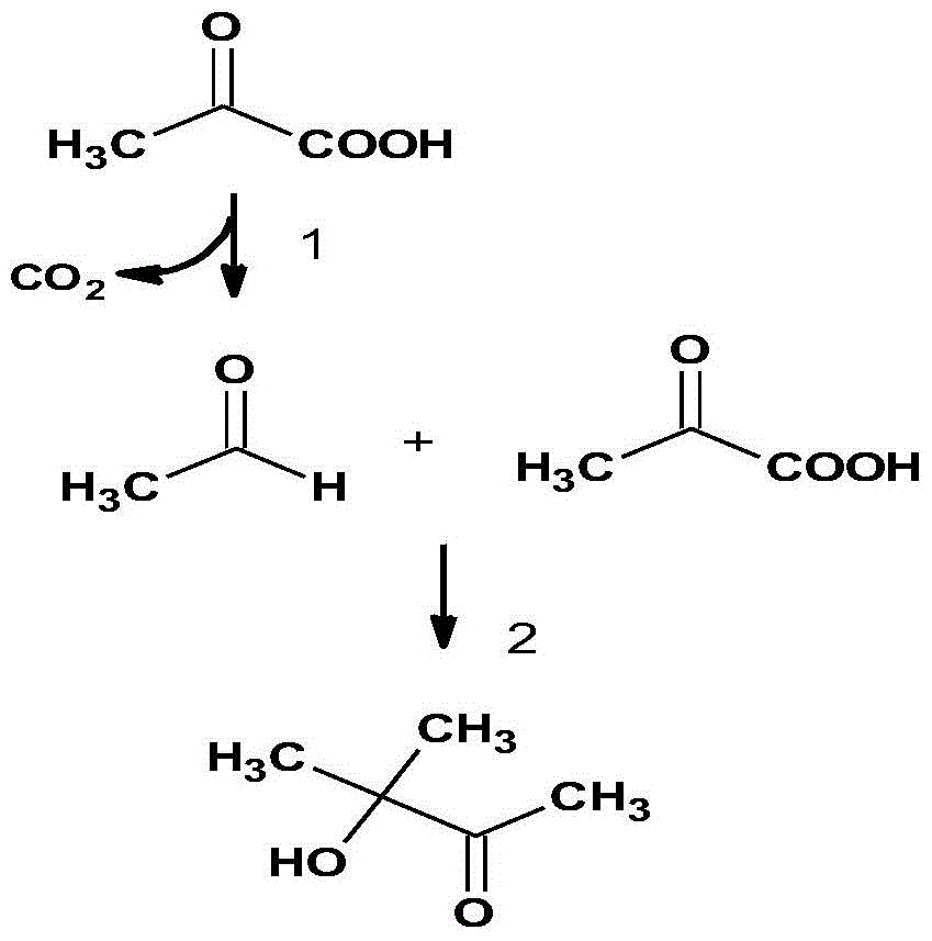 A method for biologically synthesizing acetoin and its derivatives