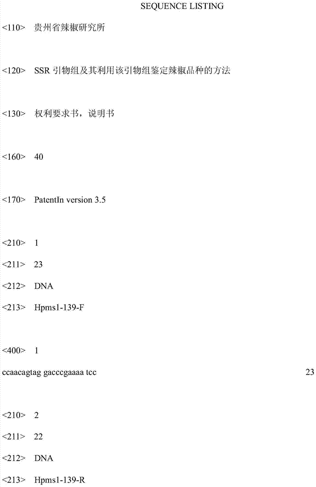 ssr primer set and method for identifying pepper varieties using the primer set