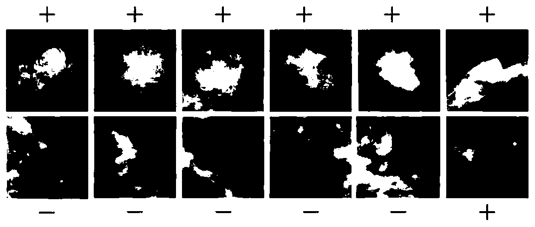 Image retrieval method based on CNN feature vocabulary tree