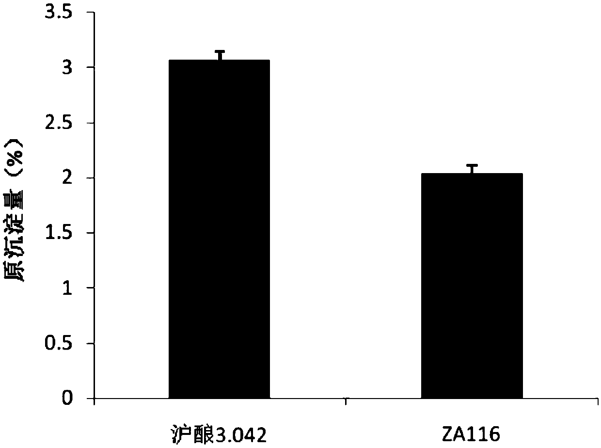 Aspergillus oryzae ZA116 bacterial strain and application thereof