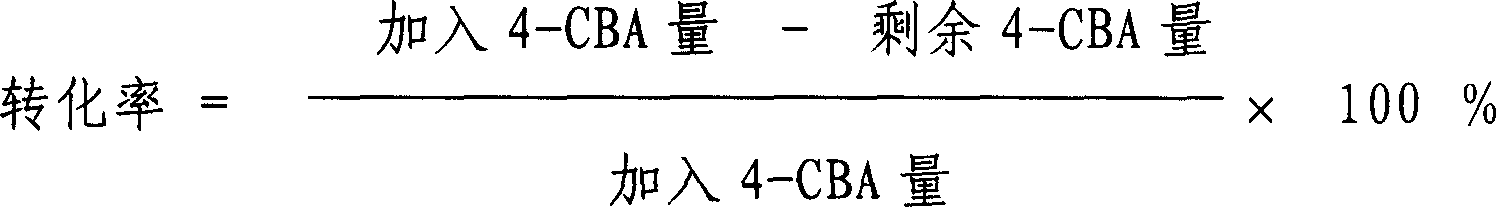 Method for preparing catalyst for refining of crude terephthalic acid