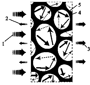 Foam metal-graphene composite material and preparation method thereof