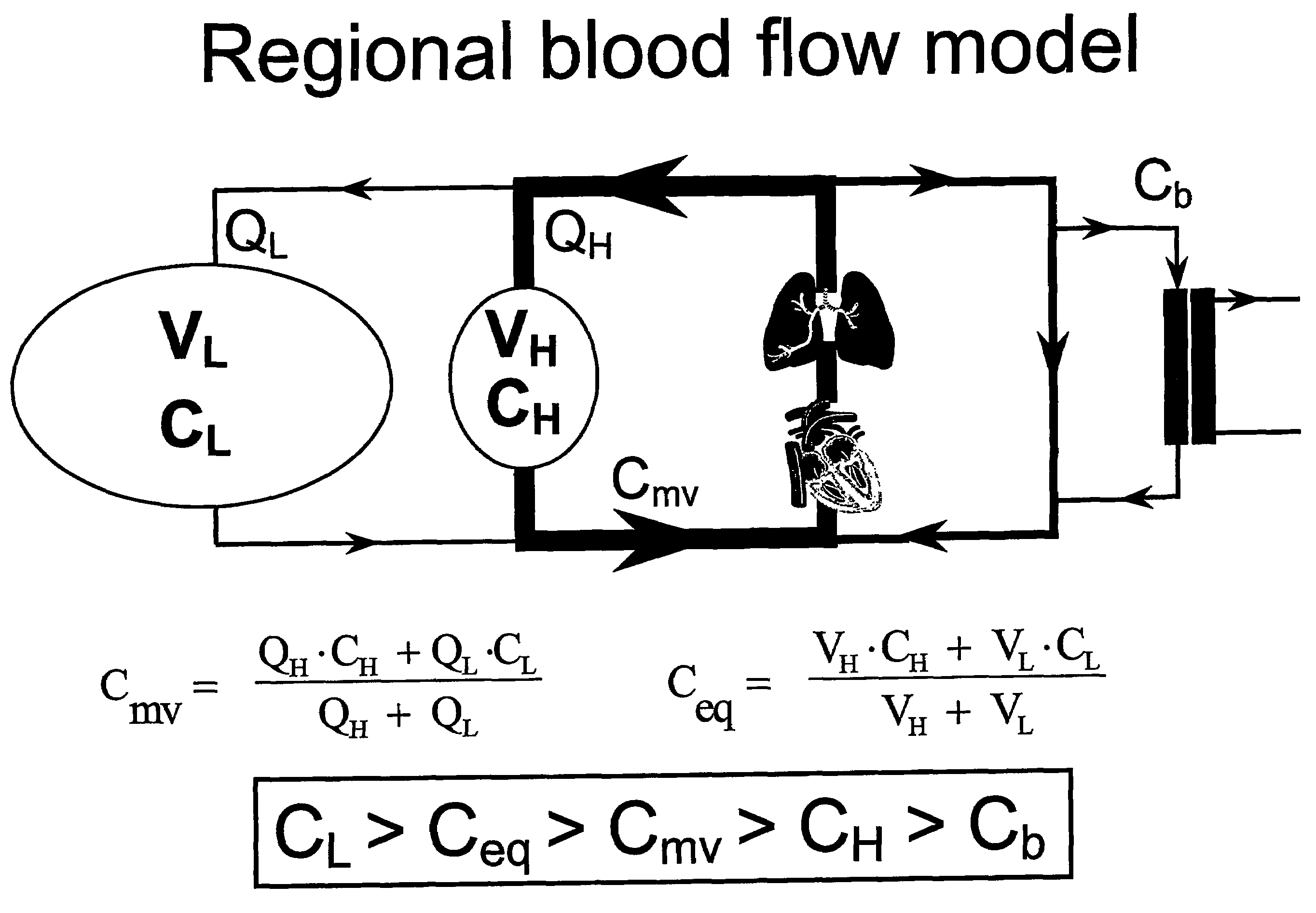 Method and an apparatus for determining the efficiency of dialysis