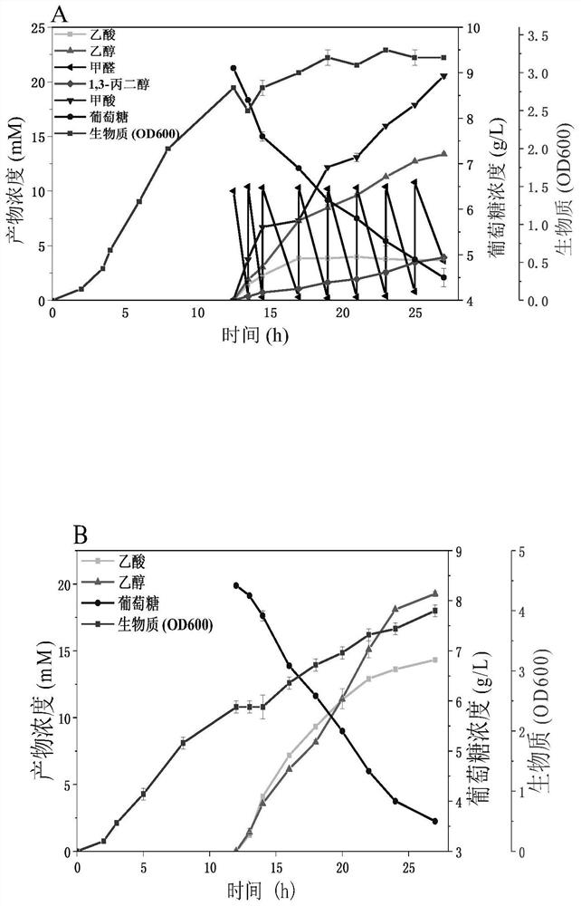 A method for producing 1,3-propanediol with methanol/formaldehyde and glucose as co-substrate